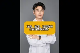 洗澡、应激、玩逗猫棒会导致猫咪抽搐？#科学养宠攻略 #猫行为 #猫咪应激 #猫抽搐