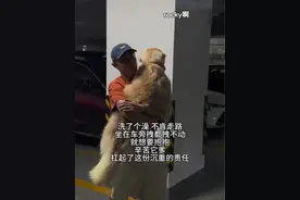 洗个破澡，还高贵上了。下个地走路都不肯了！ #狗狗 #金毛 #狗狗的心思都写在脸上了 #萌宠出道计划 #傻狗的日常视频封面