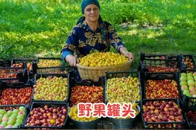 阿塞拜疆田园生活的宁静与美好，田野采摘野果制作罐头视频封面