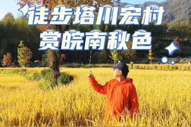 皖南赏秋必打卡塔川，而塔川更多的乐趣是徒步塔川到宏村之间的麦田，全程三公里，没有爬升，老幼皆可，宠物友好，走过才不虚此行。#塔川秋色 #塔川游玩攻略 #徒步塔川 #抖音热点宝 #塔川秋色文案