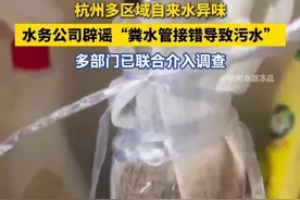 近日，浙江杭州余杭区良渚街道、仁和街道多个小区的业主称，家中自来水出现异味。余杭水务17日发布通报称，上述街道的水质已恢复，工作人员表示，当地林水局、生态环境局已介入进行联合调查，水务局负责配合调查。