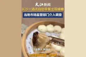 游客入住长沙一桔子酒店在早餐中吃出蒸熟蟑螂，当地市场监管部门已介入。#消费者 #食品安全 #酒店餐饮#蟑螂#桔子酒店