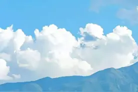 #纯牛奶#营养美味