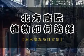北方庭院植物如何选择？ 超级干货！这个视频告诉你北方庭院植物该怎么选#中式庭院 #庭院设计 #园林景观 #庭院景观 #中式合院视频封面