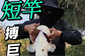 空军一个星期了！今天破了一个大“龟”#钓鱼的乐趣只有钓鱼人懂 #这鱼哪个钓友看了不羡慕 #大口鲶 #会钓鱼和不会钓鱼的都沉默了 #钓鱼王地狱猫视频封面