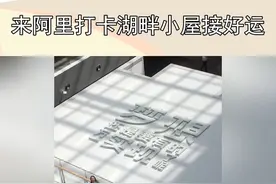 听说打卡能接好运？阿里巴巴湖畔小屋我来啦！#湖畔小屋视频封面