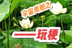 宇宙奥秘之——玩梗 天垂象，在天成象，在地显相！这句话通俗点理解，就是指三维的事，都来源于高维，在高维先成象，再投影到低维，成为显相。由此可见三维的一切，都是先在高维投影源头已经发生了以后，才能在低维出现。其实生活中，处处皆是各种显相，只是普通人连自己的人生都过的稀里糊涂，更不要说去解读高维的天象了。就连李淳风和袁天罡，也不是这样大彻大悟的人，他们也只是能利用数术，去推演宇宙运行规律，从中得窥探一些天机罢了。因此，真正能轻松就看透事物和解读天象的人，必定是已经开悟，且拥有大智慧和高眼界的人，但是这样的人凤毛麟角般少，本人不才，恰好拥有这样的天赋。其实在过去的一年中，已经告诉过大家许多关系天垂象的事，而且都一一印证了。随我修行久了的人都知道，修为的高低与看透事物本质，其实是呈正比的。  现代人很多喜欢在网上玩梗，有些小梗拿来开个小玩笑，博人一笑也无伤大雅，但是有些梗就不应该随便去玩，因为这是涉及大范围的伦理道德方面的事了。之前写过一篇《称呼》，其中就提醒过大家好好修口，不要随意使用特定的称谓，名称和字词，因为那些代表着特殊能量群体，当一个普通人去取个高能量的词汇做名字，那势必会因为自己能量与之不匹配，而遭受反噬。因为语言是带着能量的，每个词，每个字都是蕴含着我们低维所不能理解的高维宇宙能量和含义。  从去年开始，会经常看到网上有人开玩笑说吃福建ren，广东ren这类的梗，出现的次数多了，直到现在已经演变成外国人都在问，中国人是不是都喜欢吃ren这样的梗？三维的角度来看，这就是个调侃，但是较真点看，也应该能看的出来，这个梗一点也不好笑，甚至有些诡异。如今的时代，看似物资丰富，无所不吃，实则人们内心匮乏，精神空虚，因此才会一味的追求口腹之欲，以此达到身体满足的感觉。  其实，这个吃福建ren的这个梗，玩多了并不是好事，你可以先回想一下，历史上什么情况下才会吃ren？答案就是ji荒年代！显而易见，从吃福建ren这个梗的显相，就可以推演出高维成象，那就是食物短缺。解读到这里，相信你们已经明白我要表达什么意思了！接下来的日子，要做好心理准备了，这都是已经成了事实的显相。能听懂我意思的人，还是少跟风玩点这类梗吧，免得集体意识过多的集中在这个事上，就会推动这个事提前发生。 #玩梗 #玩梗适度 #提升认知思维 #天垂象 #预言