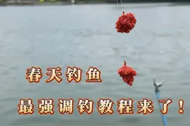钓离底，春天最强教程来了！可能与你的钓鱼认知大不相同 #钓鱼的乐趣只有钓鱼人懂 学会正确的离底调钓，春天钓鱼爽到爆#分享钓鱼知识 #调漂技巧