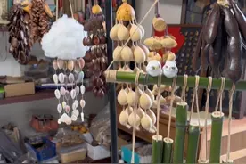 用各种植物种子做风铃 #手工 #风铃 #种子 #有趣视频封面