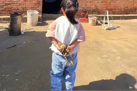 淮安“浪里马”的由来😂是4岁重孙女，放假带着癞蛤蟆跟太奶一 起玩，造就了一句玩笑话🥲#浪里马#看一边笑一边#跟着抖音博主现场看苏超 #人类幼崽 #癞蛤蟆