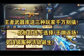 王者武器库这三种玩家千万别搞！皮肤自选卡选择/王翎返场视频封面
