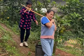 还是怪代幺妹力气不够，可惜了我的肥料！ #搞笑#郑二八经视频封面