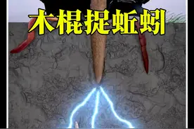 见过这种怪事吗？拿根木棍插土里使劲搓，地里蚯蚓就跟约好似的全钻出来了！#科普 #涨知识 #科普一下 #科普知识 #冷知识