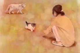 猫妈不让小猫跟自己流浪，狠心把小猫送给女孩。 #画一个故事 #暖心一幕 #万物有灵#猫 #温暖一幕