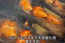 松毛烤乳鸽 云南菜松毛烤乳鸽，云南人真会玩烧烤#昆明美食 #抖音美食创作者 #烟火气 #真材实料才能做出好味道 #dou有两把刷子 云南人的烧烤有两把刷子，今天回家吃饭带点什么？