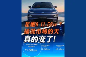 星耀8！11.58w?插混市场的天真的变了！#百万银河#吉利银河星耀8视频封面