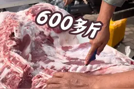 老孟今天这猪600多斤，肉膘子超肥，竟然都抢着买，一买就几十斤#我的乡村生活 #鲜肉 #猪肉价格 #分享家乡美食 #物美价廉