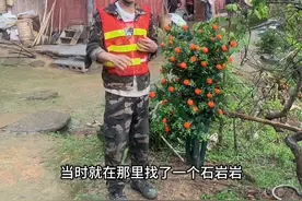 乡愁是脚下前行的路，没有尽头，今天带大家看看一场突如其来的狂风暴雨之后，整条路的实时状况，这是一条艰难的泥泞小路，更是一条成长之路、回家之路，不得不走，一起加油改变现状。#我的乡村生活 #乡村振兴 #人生就是一场修行 #从小长大的地方 #人工修路视频封面