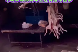 萧山的狗肉屠宰场，不明来源的狗车上还有拉布拉多#宠物#萌宠#为宠物发声视频封面