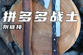便宜又好玩！均价￥20+！！垃圾佬的16件户外装备玩具大赏 #露营视频封面