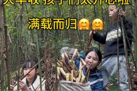 掰了好多野生竹笋 今天周6孩子不上学，跟村里大叔大爷来深山老林打野生竹笋，听说打一天笋能卖三四百，可把我激动的一晚上睡不着！没想到…… #打竹笋的一天 #野生竹笋 #大自然的馈赠纯天然野生 #大山里的味道 #大山里的原生态视频封面