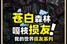 我的世界：玩家用新生物“嘎枝怪”来捉弄损友！不会领盒饭的生物