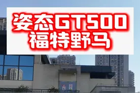 福特野马大v8，真男人就得开v8 #野马 #野马mustang #谢尔比gt500 #v8视频封面