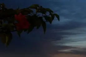 为什么不推“爸爸岗”而是妈妈“岗”，妈妈是女人不是超人视频封面