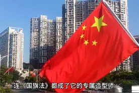 五星红旗的由来，小伙伴们一定要牢记在心啊#创作灵感视频封面