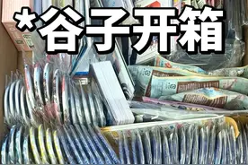 谷子开箱之我已怒极反笑 本期嘉宾：全职高手叶修方锐，逆转裁判御剑怜侍，chiikawa，黑子的篮球青峰大辉，chiikawa，跃动青春岩仓美津未 #谷子 #谷子开箱 #拆谷视频封面