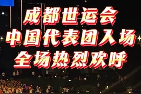 #成都世运会 中国代表团入场！为中国健儿点赞加油！