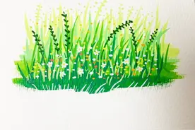 花草丛超详细画法！收藏起来慢慢画～ #一起学画画 #丙烯马克笔 #零基础学画画