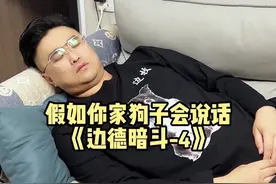 这是梦到第几层了#假如狗狗会说话视频封面