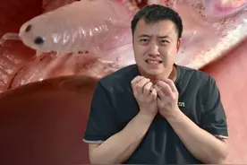 长了寄生虫“缩头鱼虱”的鱼还能吃吗？ #自然奇境科普季 #寄生虫视频封面