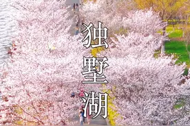 湖景 樱花 日落 独墅湖免费的樱花大道美到封神！#春天必打卡的樱花胜地 #樱花 #一年一度赏樱季 #一年一度春日赏花地图 #苏州视频封面