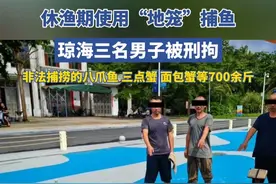 休渔期使用“地笼”捕鱼，琼海三男子被刑事拘留。视频封面