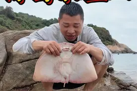 海岛求生八 这个小伙在海岛上求生，居然收获了这么大条鱼，还养了一只小猫咪当宠物，快来看看发生了什么吧#户外 #荒岛生存 #原创视频 #野外生存 #三农视频封面