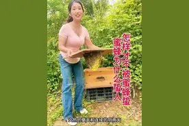 蜜蜂为什么蛰人怎样才不被蜜蜂蛰 你被蜜蜂蛰过吗？蜜蜂蛰了怎样处理呢，其实蜜蜂从来不蛰养蜂人，今天妹子把蜜蜂为什么不蛰养蜂人的秘密公开分享给喜欢蜜蜂的朋友，只要你了解了蜜蜂这几个习惯从此蜜蜂遇见你都要绕道走，最后一点最重要，我每天认真分享一个养蜂小技巧你可以点赞收藏在关注我以后想养蜜蜂不会养还可以找到我，话不多说直接讲干货1、外界没有蜜源，巢内又没有多少蜂蜜时，蜂群会比较急躁容易蛰人.2、突然被干扰，比如开箱的时候，不小心踢了一脚蜂箱，或者是开箱的时候过于暴力，蜜蜂就会形成抵御，从而出现蛰人的情况3、天气变化，炎热的夏天和连续的阴雨天，这个时候的蜜蜂非常的凶，而且蜇人要比平时痛很多。4.气味刺激，比如身上有香水味，酒味，汗味，还有脚臭味的刺激，蜜蜂就会特别关照你。第5点也是最关键的一点，尤其是新手朋友一定要注意，当被蜜蜂蛰了以后，一定要及时的拔出蜂刺，并用清水清洗干净，下个作品教你蜜蜂蛰了怎样正确处理#蜜蜂 #养蜂人 #户外找蜂 #农村生活 #养蜂技术分享 @蜂妹子小号 @DOU+小助手 @抖音创作小助手 @创作灵感小助手视频封面