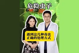 遇到这几种毒虫正确的处理方式#基孔肯雅热#隐翅虫#臭虫#止痒