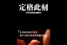 生命的诞生：如何从小蝌蚪变成婴儿？ 5分钟演示：你是如何诞生的？ #受精过程 #生命的诞生 #受孕 #创作灵感  #坚强的小生命 @DOU+小助手