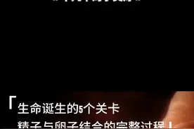 生命的诞生：如何从小蝌蚪变成婴儿？ 5分钟演示：你是如何诞生的？ #受精过程 #生命的诞生 #受孕 #创作灵感  #坚强的小生命 @DOU+小助手视频封面