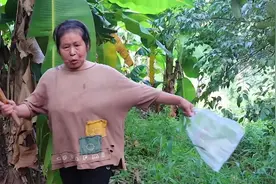 婆婆一大早就去找菌子，没想到找到这么多？婆婆拿来这样煮视频封面