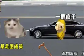 假如老年暴走团重出江湖#猫meme#搞笑#万万没想到#百吨王 #百吨王视频封面