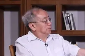 经济学家王小鲁：我们离发达国家还很遥远，要冷静客观了解当下状态。#中国 #经济 #发达国家 #收入 欢迎关注视频封面