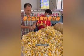 蚕茧做蚕丝被过程（上） 今天河南驻马店的一位阿姨拿来了一麻袋自己家养的蚕结成的蚕茧，想给闺女和儿子做几床结婚喜被，这些蚕茧是专门为闺女和儿子养的，先打开看看蚕茧质量怎么样，看看到底能够出多少蚕丝能做几床被子，#蚕茧如何做成蚕丝被 #蚕茧做蚕丝被的过程 #蚕丝被手艺人