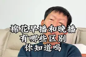 棉花早播和晚播有哪些优缺点你知道吗#来抖音学农枝 #三农 #新农人计划2025 #科农植保 #棉花种植