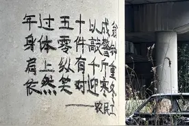 年过五十以成翁#农民工 #生活感悟#打工人  #农村生活 #唯美诗词