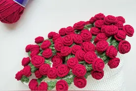 玫瑰花束毯子钩织视频教程（二） 终于完工了 也是拥有了这个玫瑰花束毯子 🧵：@雪妃尔毛线  5股牛奶棉 🎨：02,24, 67 🪡：2.5mm 主体02号五团多，叶子24号一团不到，花67号一团多 直径约102cm 钩针用的2.5mm，建议用再粗一些的3.0或者3.5 #钩织视频教程 #玫瑰花束毯子 #可以变成花束的毛毯 #钩织毯子#钩织玫瑰花