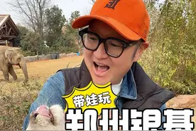 这的动物也“太没边界感”了吧！#旅行推荐官视频封面