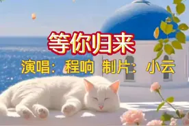 程响演唱的《等你归来》由宁缺作词作曲，发布于2021年1月17日